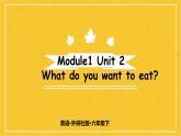 Module 1 Unit 2　What do you want to eat？  课件PPT+练习课件+音视频素材