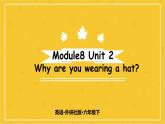 Module 8 Unit 2　Why are you wearing a hat？  课件PPT+练习课件+音视频素材