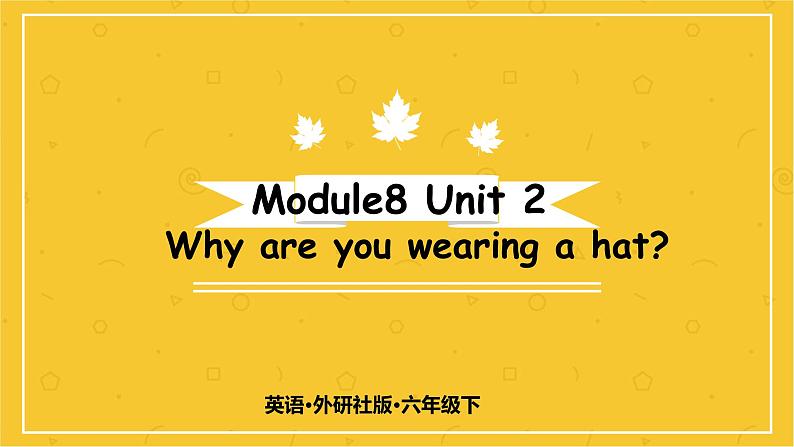 Module 8 Unit 2　Why are you wearing a hat？  课件PPT+练习课件+音视频素材01