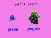人教版（PEP）三下英语 Unit5 Do you like pears？ partB 课件