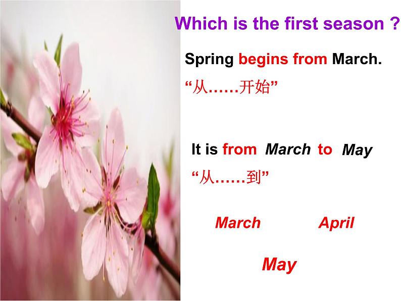 陕旅版小学英语五下 Unit3 Spring Begins From March partB 课件第7页