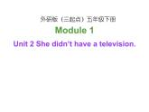 外研版（三起）小学英语五下 M1 U2 She didn't have a television. 课件