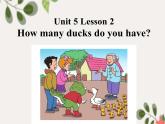 鲁科版（五四制）小学英语五下 5.2 How many ducks do you have？ 课件