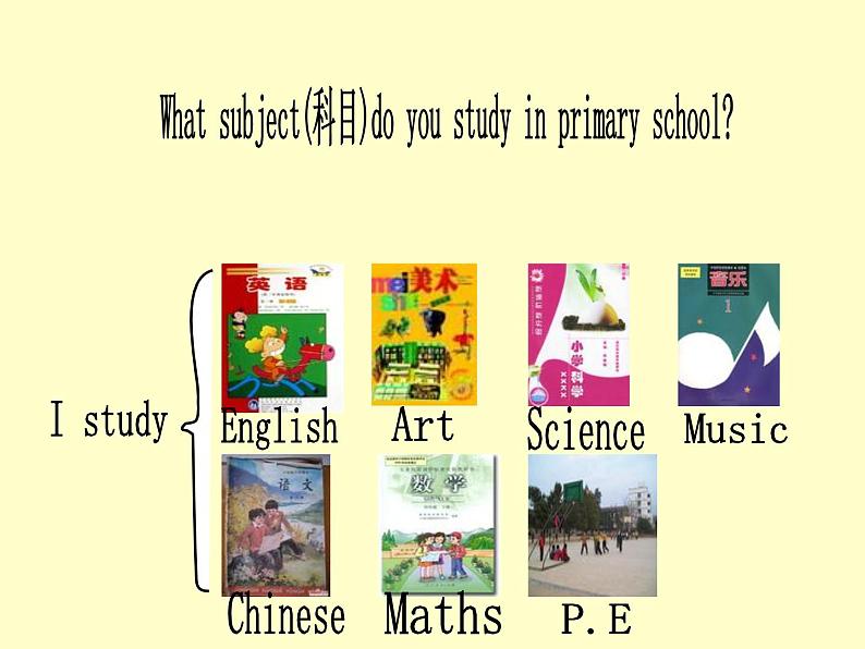 外研版（三起）小学英语六下 Module10 Unit2 What are you going to study？ 课件07