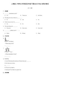 小学英语人教版 (PEP)五年级下册Unit 5 Whose dog is it? Part A课后测评