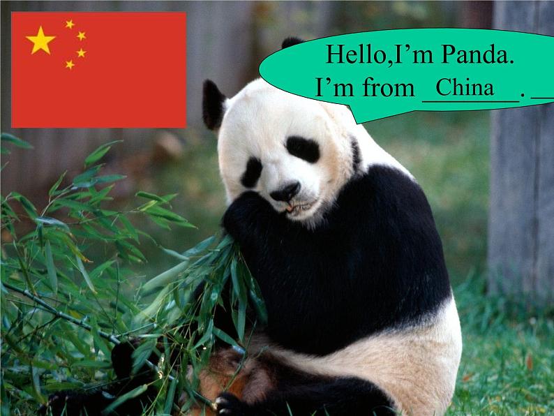 【人教pep版】小学三下英语：Recycle 1全套ppt教学课件02