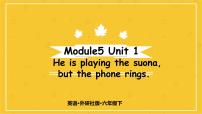 外研版 (三年级起点)Module 5Unit 1 He is playing the suona but the phone rings.教案配套ppt课件