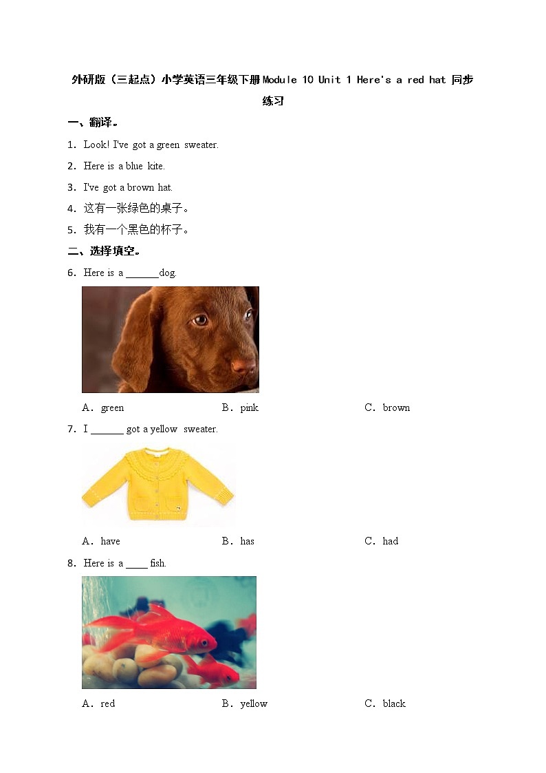 外研版（三起点）小学英语三年级下册Module 10 Unit 1 同步练习01
