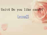 人教精通版小学英语三下 Unit4 Do you like candy？(Lesson23) 课件