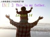 人教精通版小学英语三下 Unit3 This is my father.(Lesson14) 课件