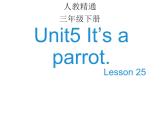 人教精通版小学英语三下 Unit5 It's a parrot.(Lesson25) 课件