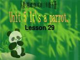 人教精通版小学英语三下 Unit5 It's a parrot.(Lesson29) 课件
