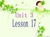 人教精通版小学英语三下 Unit3 This is my father.(Lesson17) 课件