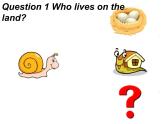 人教精通版小學(xué)英語四下 Unit6 Would you like to take a trip？(Lesson33) 課件