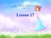 人教精通版小学英语六下 Unit3 We are going to travel.(Lesson17) 课件