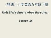 人教精通版小学英语五下 Unit3 We should obey the rules.(Lesson16) 课件