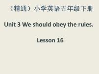 人教精通版五年级下册Lesson 16教课课件ppt