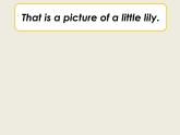 人教精通版小學(xué)英語五下 Unit3 We should obey the rules.(Lesson16) 課件