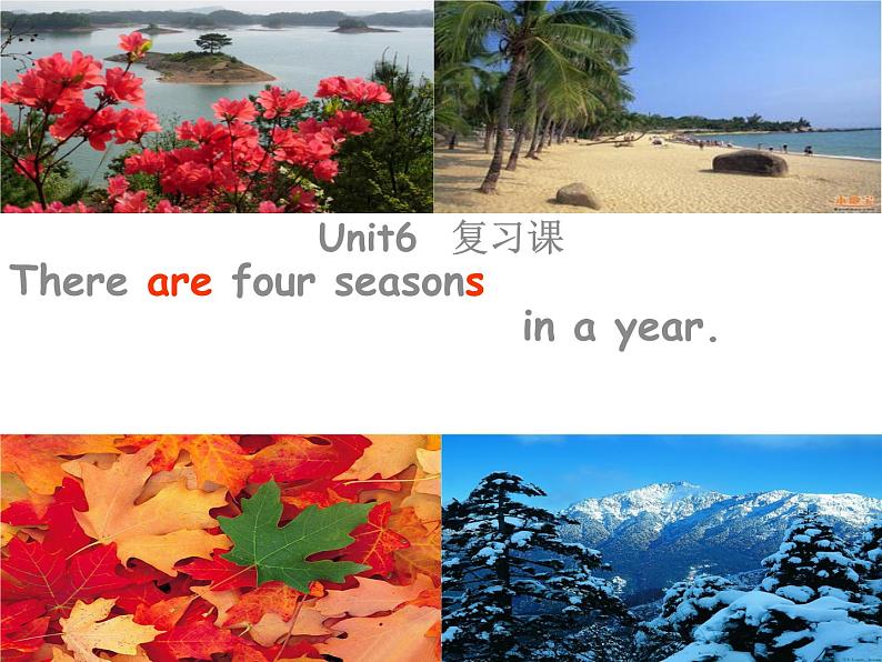 人教精通版小学英语六下 Unit1 I went to Sanya for my holidays.(Lesson6) 课件第2页