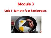 外研版（三起）小学英语五下 M3 U2 Sam ate four hamburgers. 课件