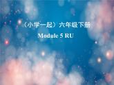 《英语》（新标准）（一年级起点）六年级下册M5第三课时课件设计