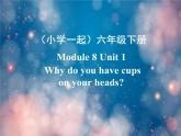 《英語》（新標準）（一年級起點）六年級下冊M8第一課時課件設(shè)計