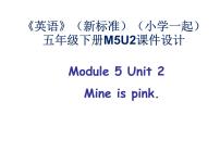 外研版 (一年级起点)五年级下册Unit 2 Mine is pink.教课ppt课件