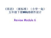 《英语》（新标准）（一年级起点）五年级下册M6RU课件设计