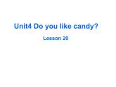 人教精通版小学英语三下 Unit4 Do you like candy？(Lesson20) 课件