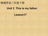 人教精通版小学英语三下 Unit3 This is my father.(Lesson17) 课件