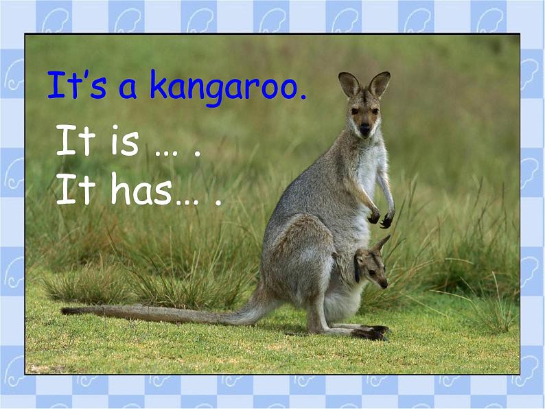 人教精通版小学英语三下 Unit5 It 's a parrot.(Lesson27)  课件第3页