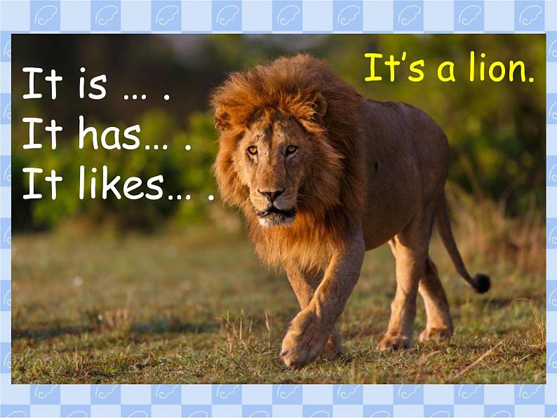 人教精通版小学英语三下 Unit5 It 's a parrot.(Lesson27)  课件第4页