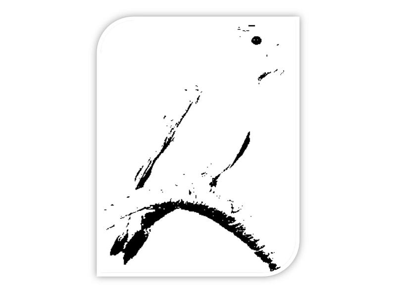 人教精通版小学英语三下 Unit5 It 's a parrot.(Lesson27)  课件第6页