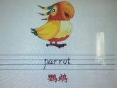 人教精通版小学英语三下 Unit5 It's a parrot.(Lesson27) 课件
