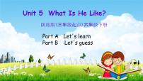 小学英语陕旅版六年级下册Unit 5 What Is He like？教学课件ppt