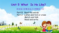 六年级下册Unit 5 What Is He like？教学课件ppt