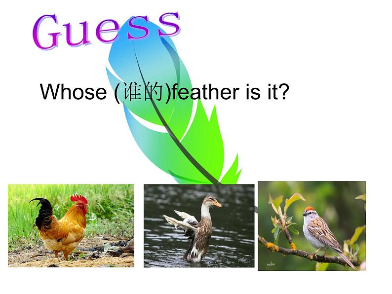 译林版小学英语三下 Unit4 Where's the bird？(第1课时) 课件03