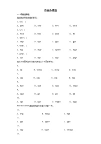 复习专项练-语音选择题（试题）-2021-2022学年英语六年级下册（有答案）