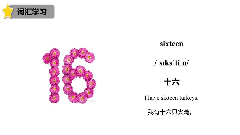 Unit 6 How many?Part B let'stalk课件PPT06