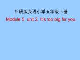 外研版（三起）小学英语五下 M5 U2 It's too big for you. 课件