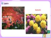 Unit 4 Autumn Period 1課件+教案+同步練習(xí)