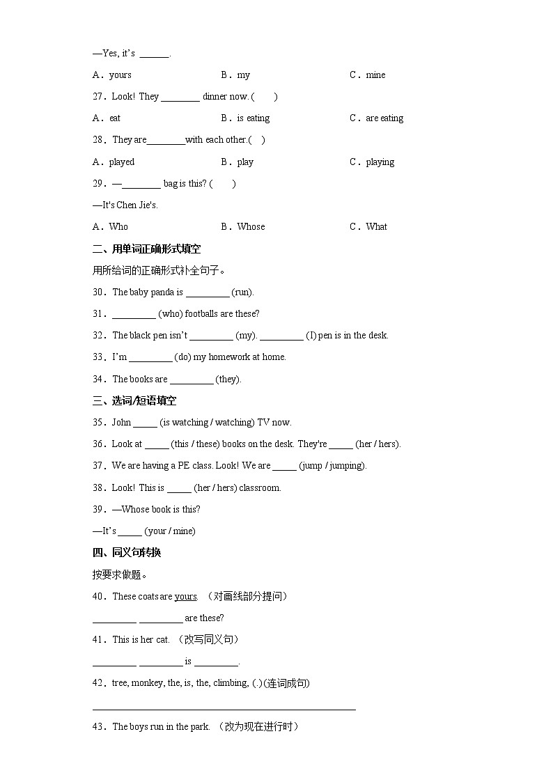 Unit  5 Whose dog is it ？语法归纳与强化练(试题)  -2021-2022学年英语五年级下册（含答案）03