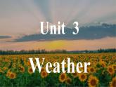 四年级下册英语课件-Unit  3 Weather     人教PEP版