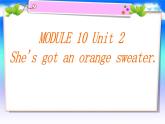 三年级英语下册课件-Module 10 Unit 2 She's got an orange sweater.（4）-外研版（三起）