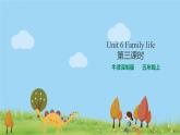 新版-牛津英语五年级上册   Unit 6 Family life 第三课时（课件+教案+练习）