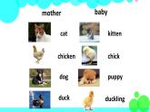 新版-牛津上海英語(yǔ)六年級(jí)上冊(cè) Module 1    Unit 1 PPT課件