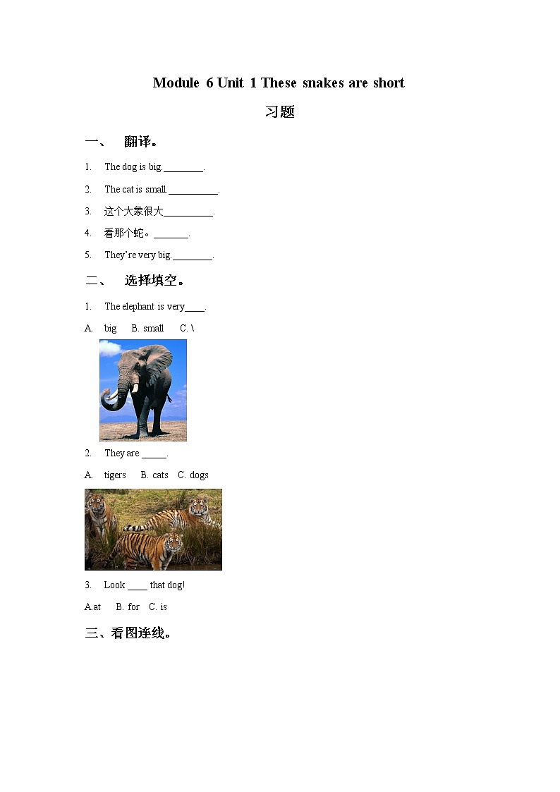 小学英语 Module 6 Unit 1 These snakes are short 习题1第1页