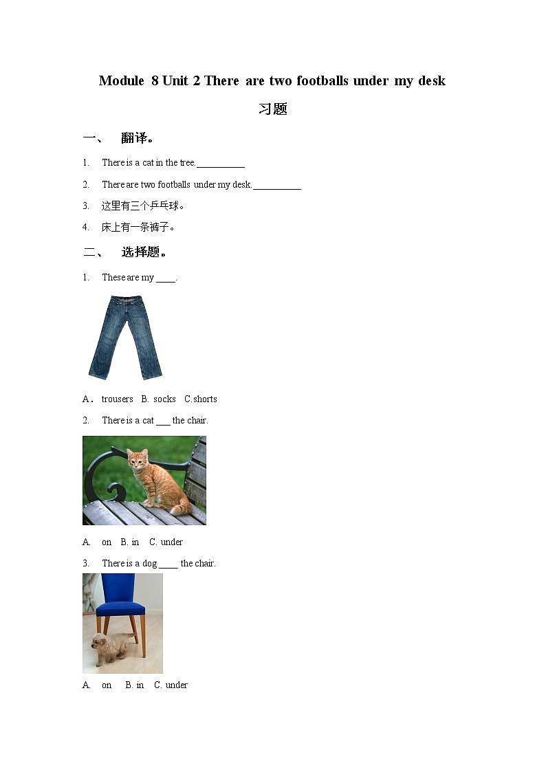 小学英语 Module 8 Unit 2 There are two footballs under my desk 习题2第1页