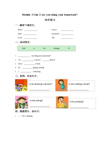 小学英语外研版 (一年级起点)二年级下册Module 3Unit 2 Are you doing your homework?课堂检测