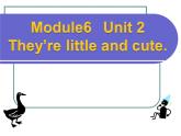 外研版小学英语（一起）一下Module 6《Unit 2 They’re little and cute》ppt课件（5份打包）